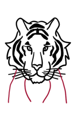 How to draw a tiger step by step - Step 6