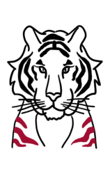 How to draw a tiger step by step - Step 7