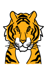 How to draw a tiger step by step - Step 8