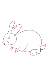 How to draw a bunny easy step by step - Step 3