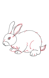 How to draw a bunny easy step by step - Step 4