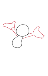 How do you draw mickey mouse step by step - Step 2
