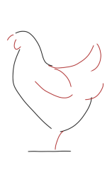 How to Draw a Chicken Step by Step - Step 2