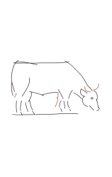 How to draw sketch of imaginary Breton cow step by step - Step 4