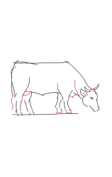 How to draw sketch of imaginary Breton cow step by step - Step 5