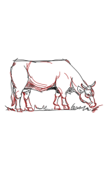 How to draw sketch of imaginary Breton cow step by step - Step 8