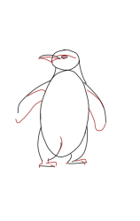 How to Draw a Penguin Step by Step - Step 3