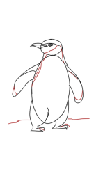 How to Draw a Penguin Step by Step - Step 4