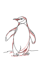 How to Draw a Penguin Step by Step - Step 5