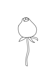 How to draw a rose bush step by step - Step 1