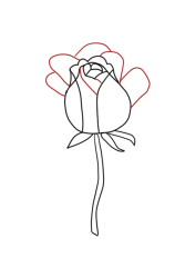 How to draw a rose bush step by step - Step 3
