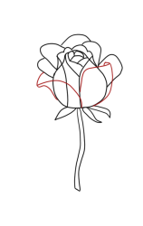 How to draw a rose bush step by step - Step 4