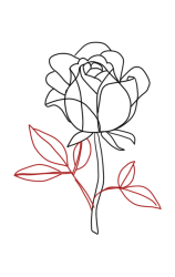 How to draw a rose bush step by step - Step 5