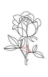 How to draw a rose bush step by step - Step 6