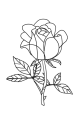 How to draw a rose bush step by step - Step 8
