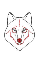 How to draw a wolf easy step by step - Step 5