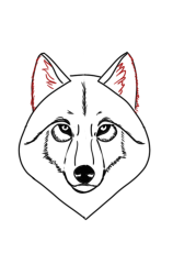 How to draw a wolf easy step by step - Step 6