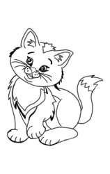 How do you draw a cat step by step - Step 6