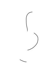 How to DRAW a GOOSE Easy Step by Step - Step 1