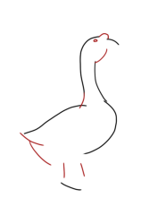 How to DRAW a GOOSE Easy Step by Step - Step 3