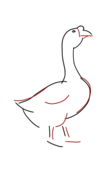 How to DRAW a GOOSE Easy Step by Step - Step 4