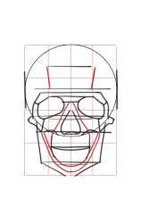 How to draw a skeleton head step by step - Step 6