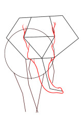 How to draw an elephant easy step by step - Step 3