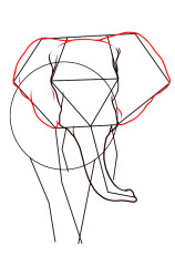How to draw an elephant easy step by step - Step 4