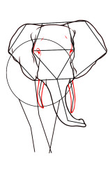 How to draw an elephant easy step by step - Step 5