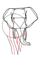 How to draw an elephant easy step by step - Step 6