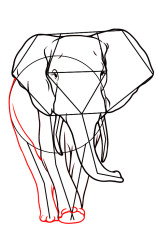 How to draw an elephant easy step by step - Step 7