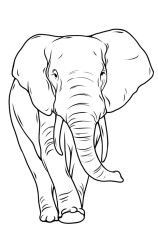 How to draw an elephant easy step by step - Step 9