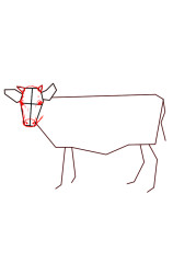 How do you draw a cow step by step - Step 4