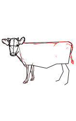 How do you draw a cow step by step - Step 7