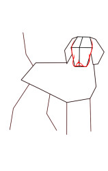 How to draw a dog easily step by step - Step 4
