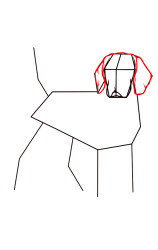How to draw a dog easily step by step - Step 5