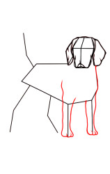 How to draw a dog easily step by step - Step 6