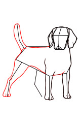 How to draw a dog easily step by step - Step 7