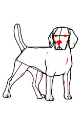 How to draw a dog easily step by step - Step 9