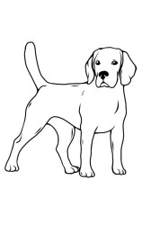 How to draw a dog easily step by step - Step 10
