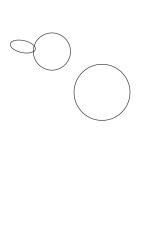How do you draw a dolphin step by step - Step 1