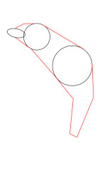 How do you draw a dolphin step by step - Step 2