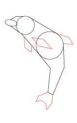 How do you draw a dolphin step by step - Step 3
