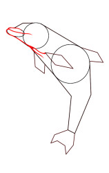 How do you draw a dolphin step by step - Step 4
