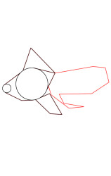 How do you draw a fish step by step - Step 3