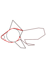 How do you draw a fish step by step - Step 4