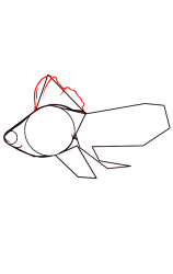 How do you draw a fish step by step - Step 5