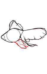 How do you draw a fish step by step - Step 7
