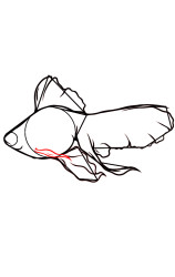 How do you draw a fish step by step - Step 8