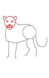 How To Draw A Cheetah (Side) Step By Step - Step 3